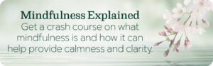 Mindfulness Explained