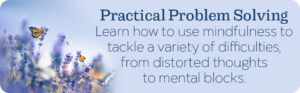 Mindful Practical Problem Solving