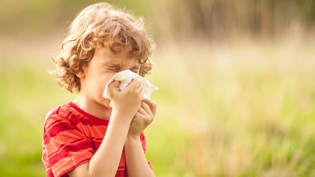 how-to-help-your-child-in-hay-fever-season-mindfulness-mt